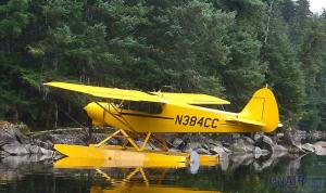 Top Cub 頂級型小熊飛機